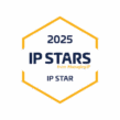 Managing Ip 2025 Ip Stars