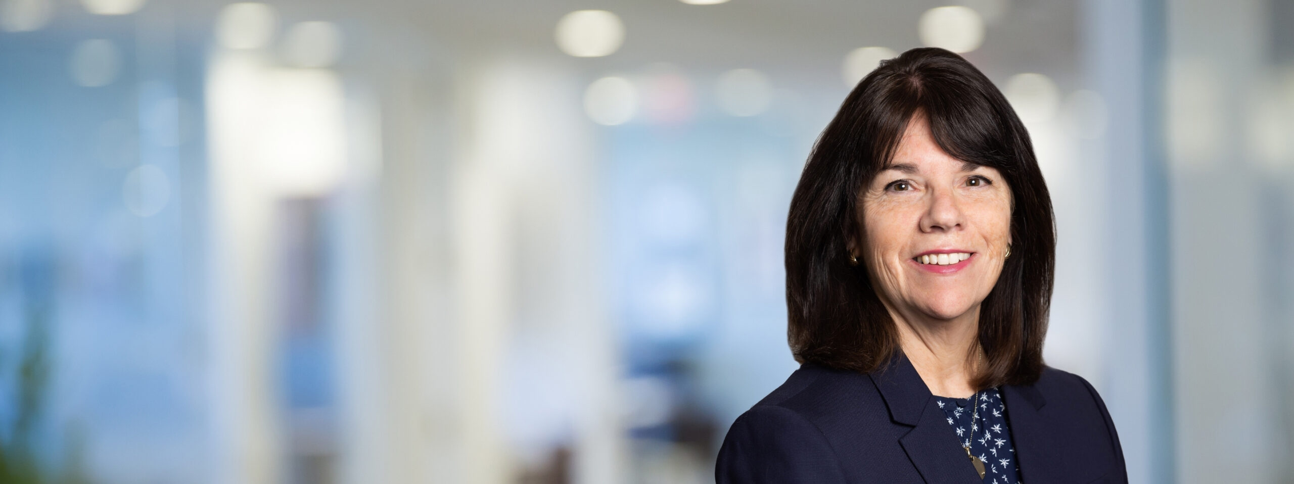 Dishaw Marren Mary Gradient